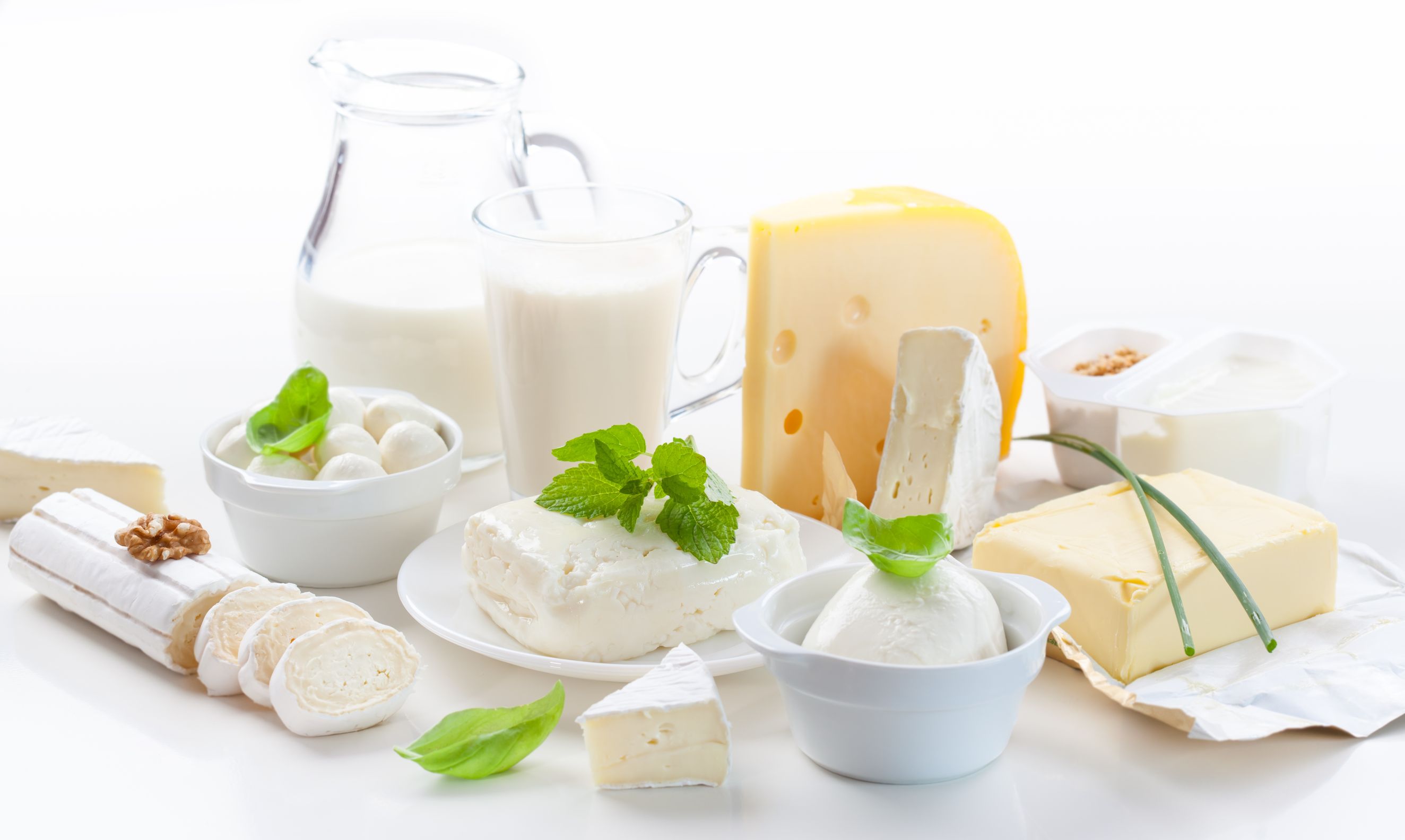 低カロリー高タンパク質乳製品