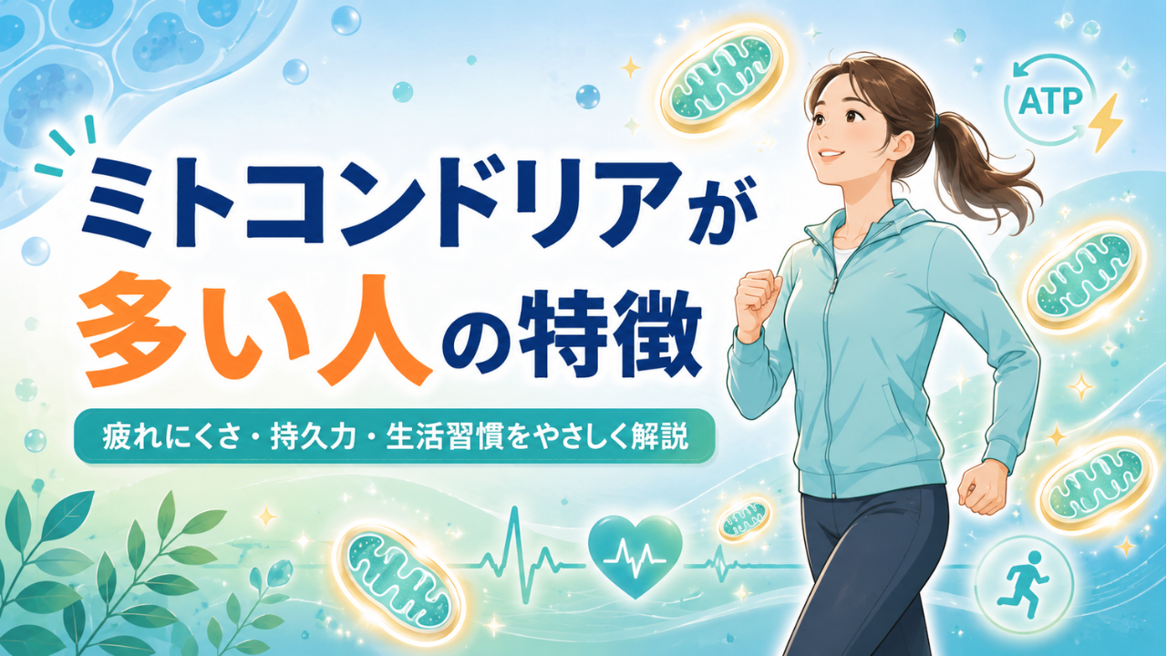 ミトコンドリアが多い人の特徴とは？疲れにくさとの関係と増やす運動・食事を解説