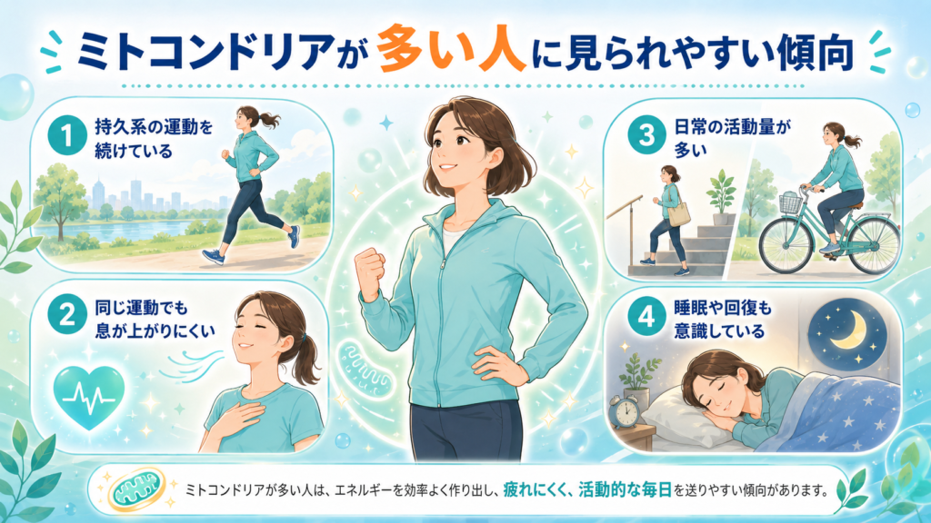 ミトコンドリアが多い人に見られやすい傾向