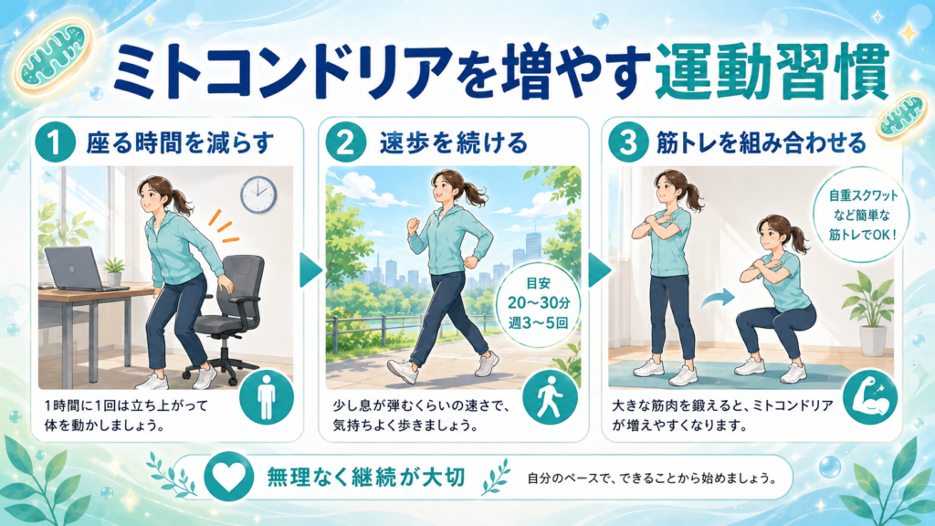 ミトコンドリアを増やす運動習慣